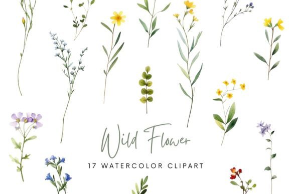 Download Watercolor Wild Flowers Sublimation - Watercolor wild flowers Collection